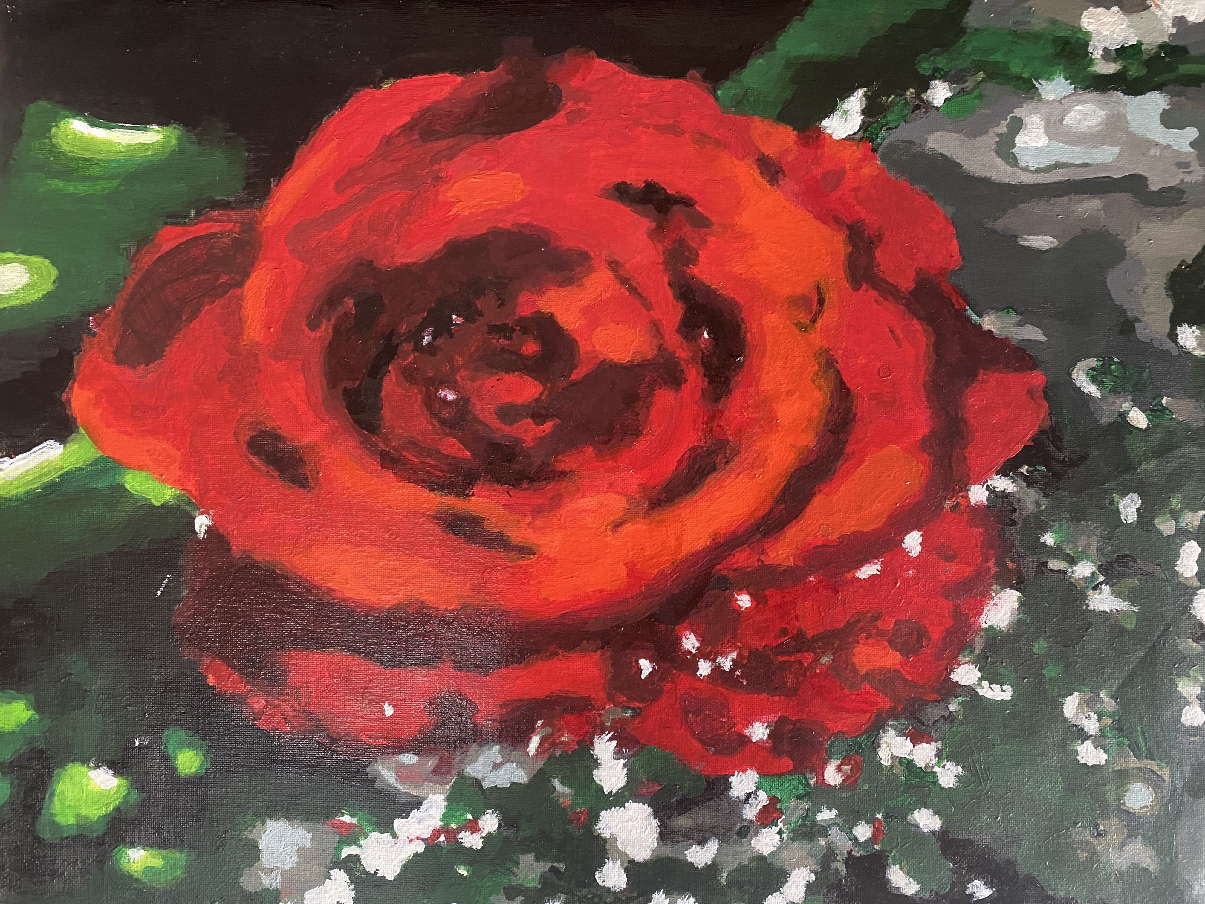 กุหลาบแดง ( Red rose )