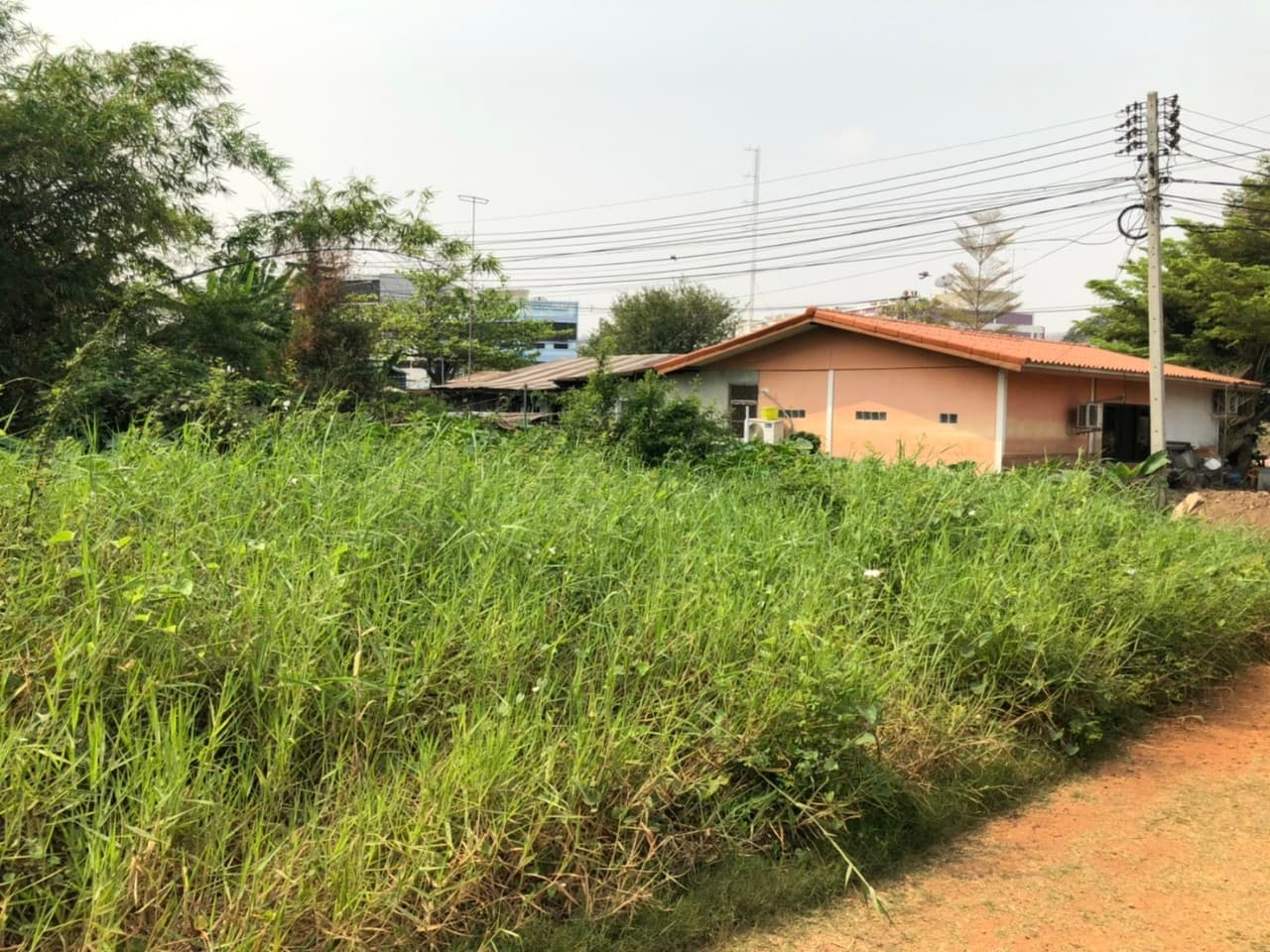 ขายที่ดินราคาถูกกลางเมืองอุทัยธานีห่างจากสถานีขนส่งผู้โดยสารอุทัยธานี 285 เมตร