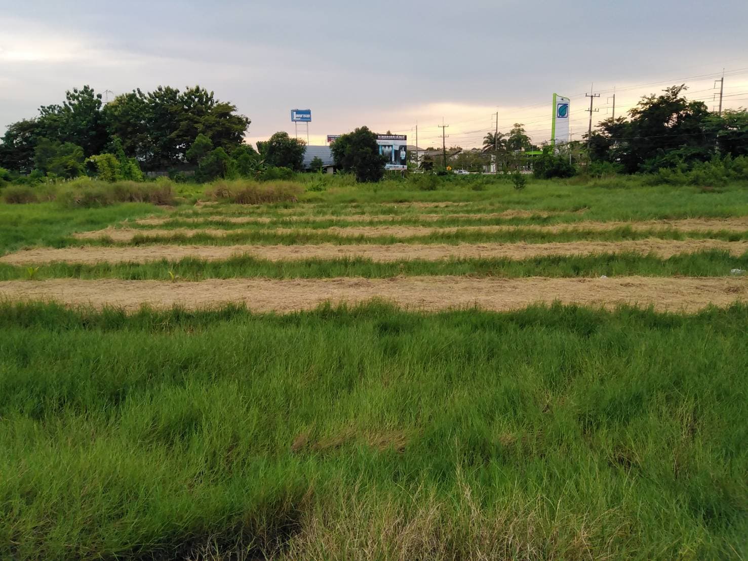 ขายที่ดินติดถนนสุขุมวิทอำเภอแกลงจังหวัดระยอง ติดสภ.แกลงใกล้โรงพยาบาล350เมตร โลตัส 1.5กม. เหมาะทำธุระกิจ บ้านจัดสรร ปั้มนํ้ามัน อื่นๆ10 ไร่ 97.5 ตรว.