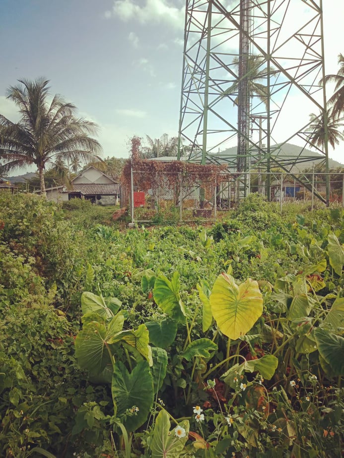 ขายที่ดินสวยราคาถูกที่สุดต.เกาะยาวใหญ่ อ.เกาะยาว จ.พังงา