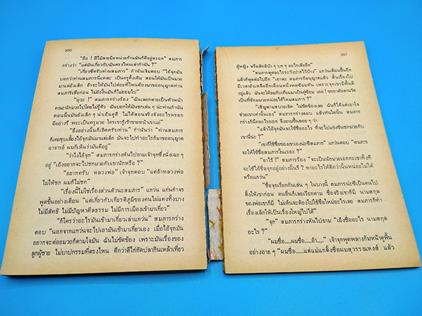 ไผ่แดง (ตำหนิ)