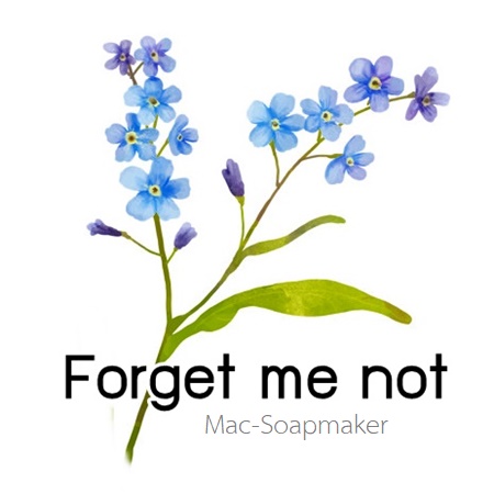 FORGET ME NOT หัวน้ำหอม ฟอเก็ท มี นอท ละลายในแอกอฮอล์และน้ำมัน