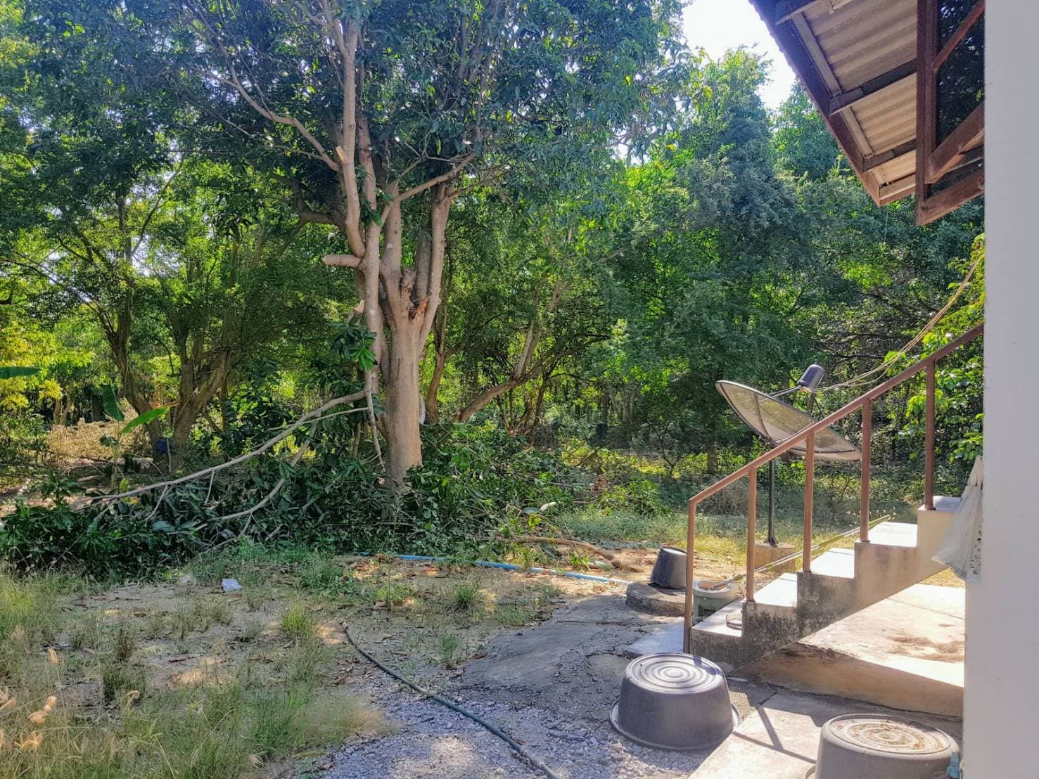 ขายที่ดินสวยพร้อมบ้านร้านขายของติดถนนหลวงด้านหลังเป็นสวนผลไม้พื้นที่กว้างขวางพร้อมสำหรับทุกคนในครอบครัวใกล้รร.บ้านเกาะสำโรง 800 เมตร อ.เมืองกาญจนบุรี