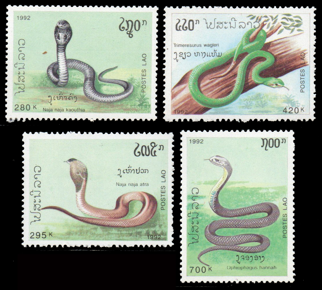 1992 Snakes