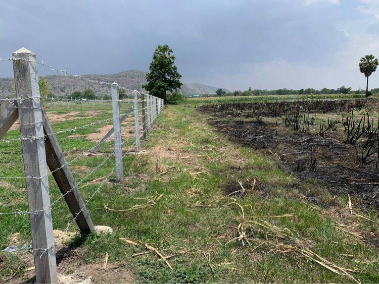 ขายที่ดิน อ.อู่ทอง จ.สุพรรณบุรี 2 ไร่ 1 งาน 94 ตรว. ใกล้รร.บ้านทุ่งดินดำ 950 เหมาะแก่การสร้างบ้านอยู่อาศัย ,รีสอร์ท,ปลูกพืช,เลี้ยงสัตว์หรือทำธุรกิจอื่นๆ บรรยากาศดีวิวภูเขาสวย