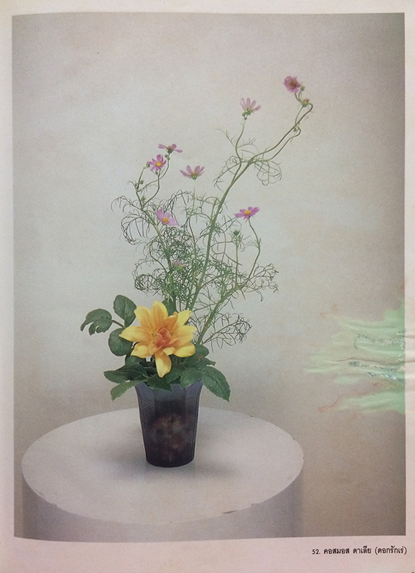 ดอกไม้แห่งแสงทิพย์ เล่ม 2