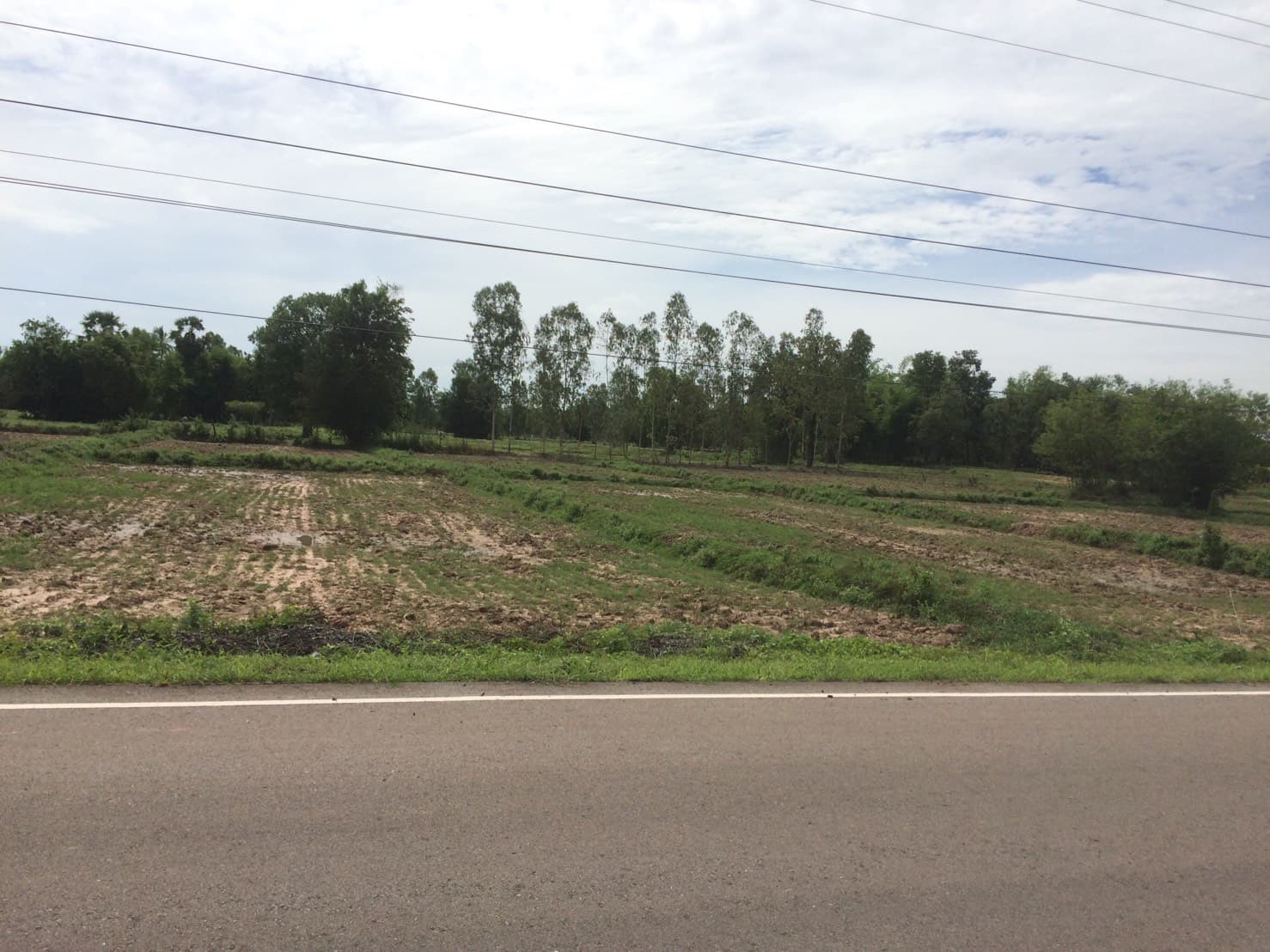 ขายที่ดินสวยราคาถูกที่สุด อ.หนองหาน จ.อุดรธานี ห่างจาก อบต.สร้อยพร้าว 2.4 กม.