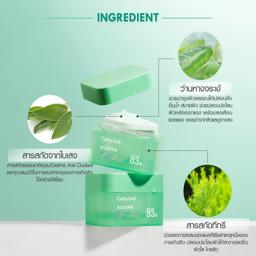 ❤ เคที่ดอลล์ ครีมว่านหางจระเข้ ซึมเร็ว บางเบา ชุ่มชื้น เปล่งประกาย 50g Cathy Doll AloeHa Fresh Aloe Vera Memory Cream