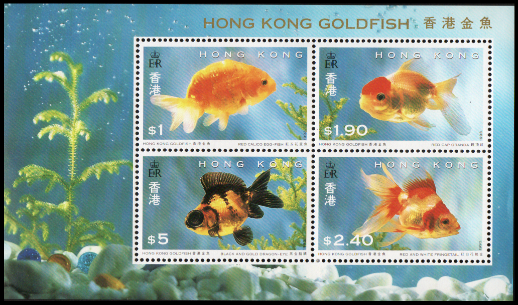 Hong Kong Gold Fish 1993