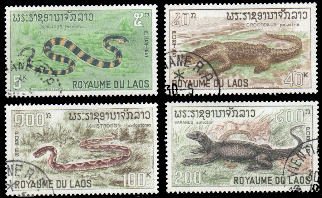 1967 Reptiles