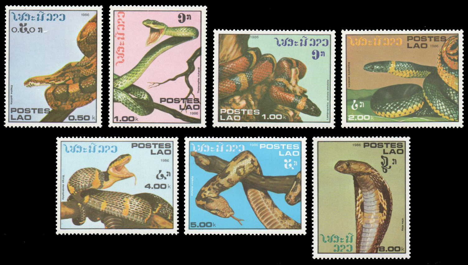1986 Snakes
