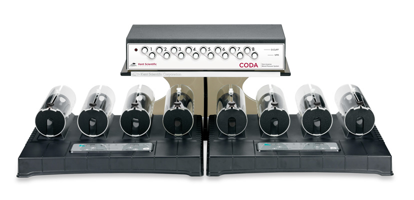 CODA Noninvasive Blood Pressure Monitoring Systems for rodent