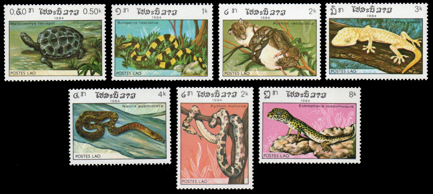 1984 Reptiles