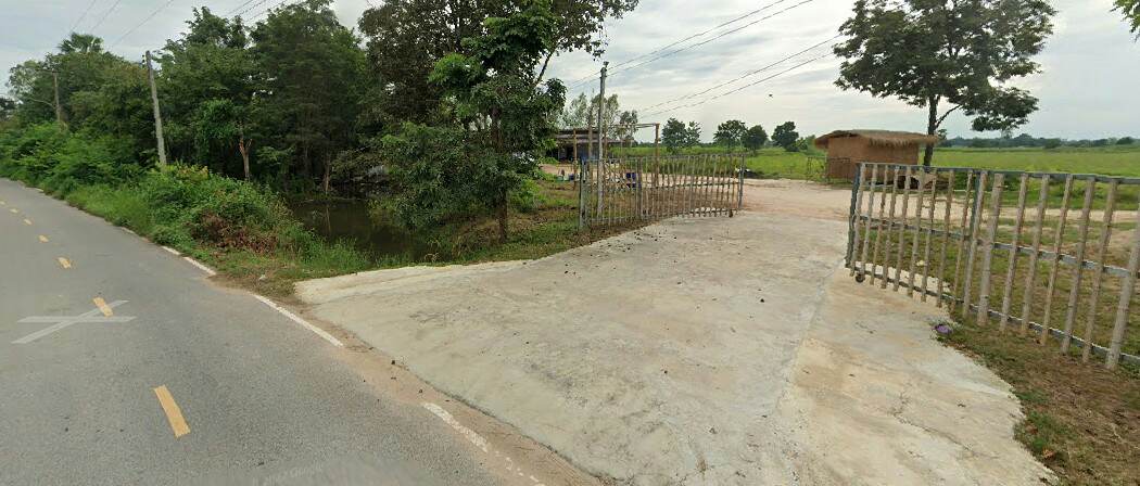 ขายสวนไผ่ซางหม่นราคาถูกเจ้าของขายเอง 47 ไร่ 45 ตารางวา ไร่ละ1.5 แสนบาท ต.หนองขุ่น อ.วัดสิงห์ จ.ชัยนาท (โฉนดครุฑแดง)