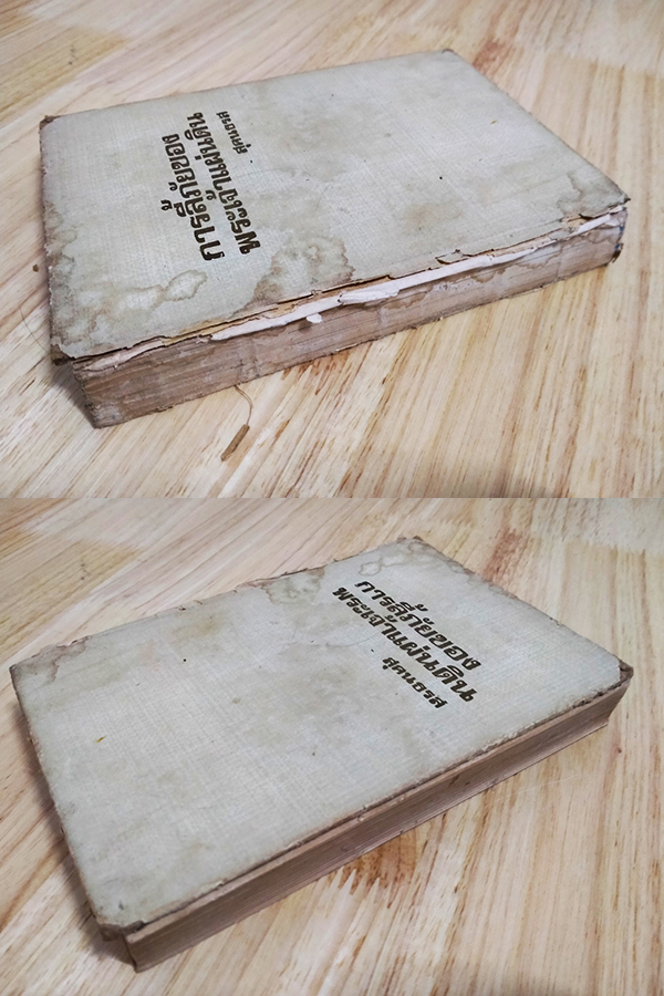 การลี้ภัยของพระเจ้าแผ่นดินรวมทั้งพระราชประวัติสังเขป