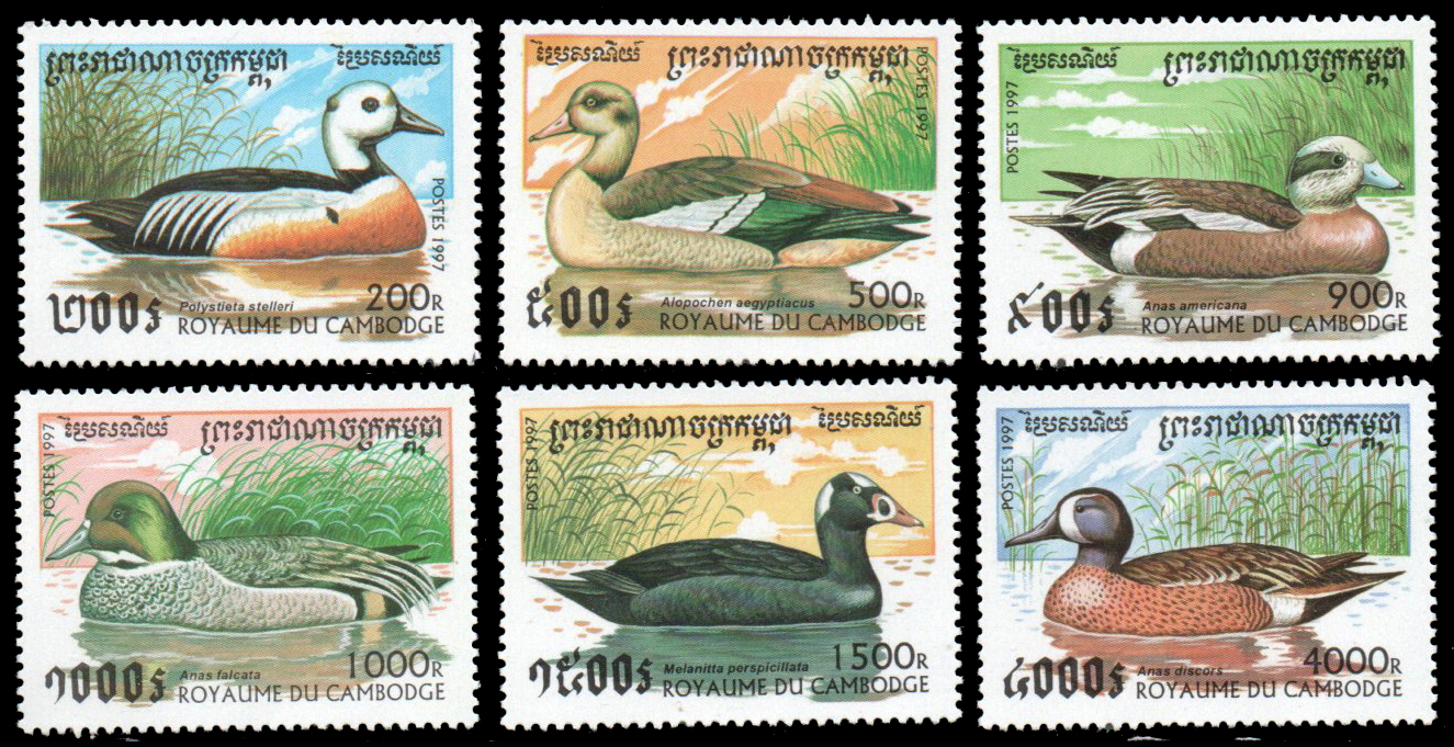 1997 Ducks