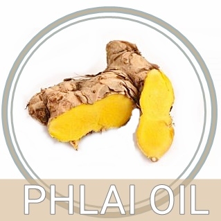 PHALI OIL น้ำมันไพลสกัด