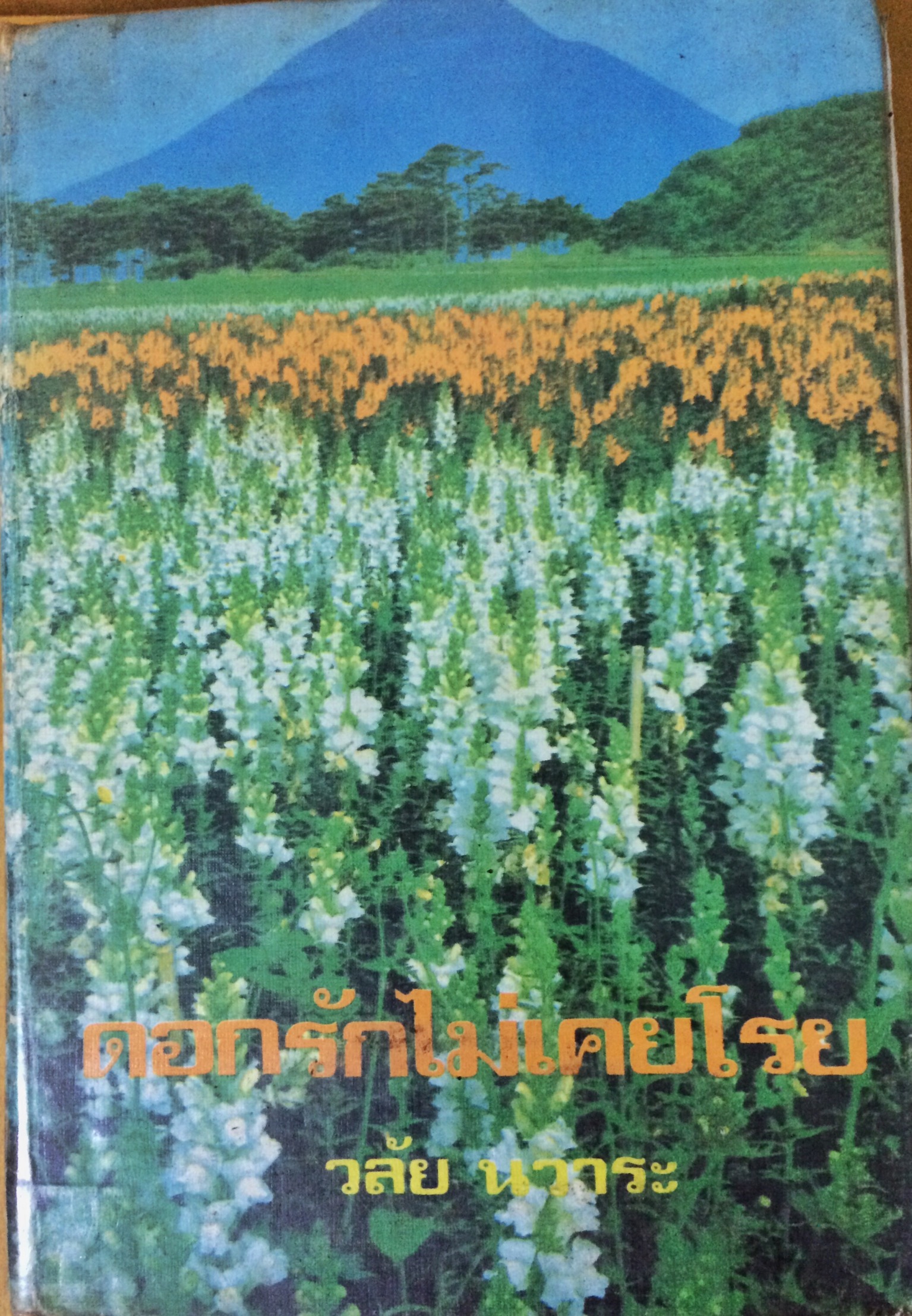 ดอกรักไม่เคยโรย (เล่มเดียวจบ)
