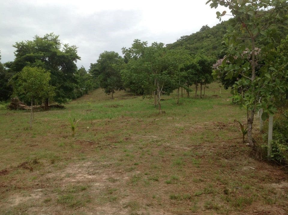 ขายที่ดินใกล้ชายฝั่งทะเลราคาถูกอ.เมืองชุมพรใกล้ตะวันฉายรีสอร์ท185เมตรห่างจากสถานีเพาะเลี้ยงสัตว์นํ้าชายฝั่ง 1.38กม.บรรยากาศดีเดินทางสะดวก