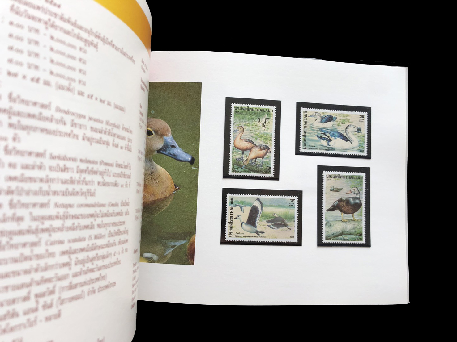 สมุดตราไปรษณียากรไทยประจำปี 2539 + แสตมป์ทองครองราชย์ 50 ปี