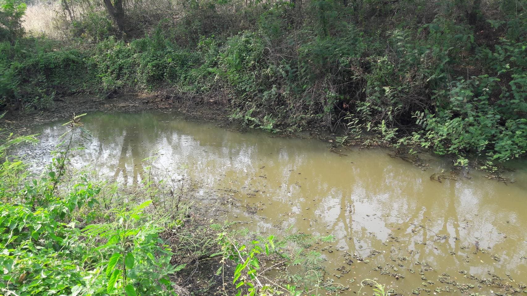 ด่วนขายที่ดินพร้อมบ้านสวนราคาถูกที่สุดมีประปาพร้อมใช้งานเนื้อที่ิ 5 ไร่ 2 งาน 69 ตรว. บ้านนาฟาน ต.ดอนไฟ อ.แม่ทะ จ.ลำปาง