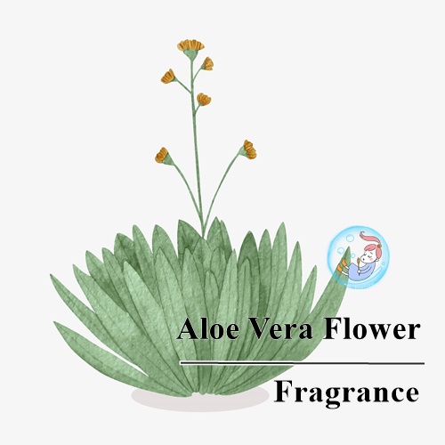 Aloe vera flower: หัวน้ำหอมกลิ่นดอกอโรเวร่า (ดอกว่านหางจรเข้) aquatic ozonic green สัมผัสถึง ความหอมเย็น เบาสบาย ละลายในแอกอฮอล์และน้ำมัน ทนความร้อนสูง COA