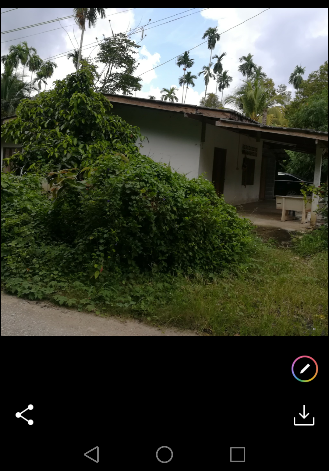 ขายที่ดินราคาถูกพร้อมสวนผลไม้สำเร็จรูป อ.บ้านค่าย จ.ระยอง7ไร่1งาน61ตรว.