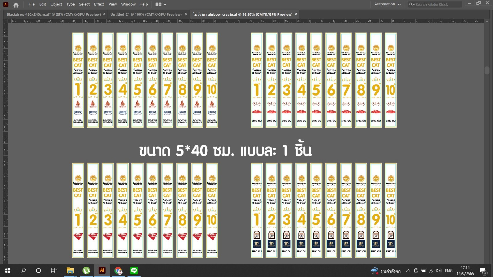 ออกแบบสิ่งพิมพ์ต่างๆ