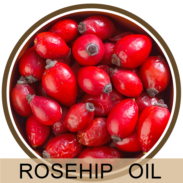 ROSE HIP OIL น้ำมัน โรส ฮิบ