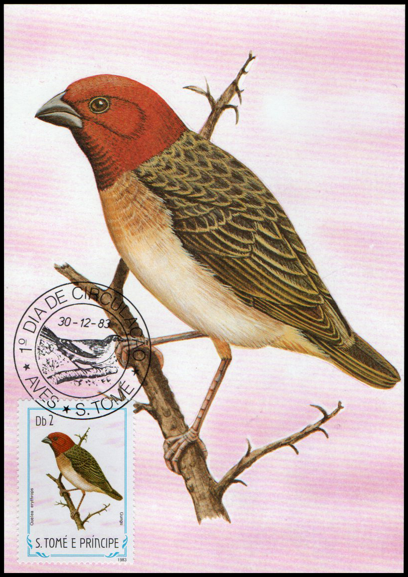 Post Cards S.Tome E Principe Bird 1983
