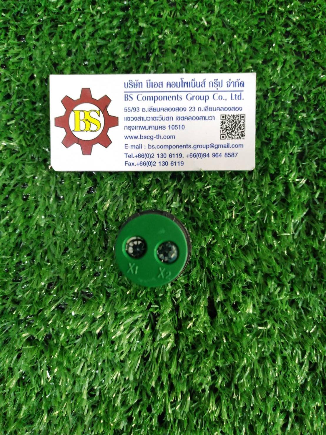 SHINOHAWA : LED Lamp 22mm. Green 220VAC