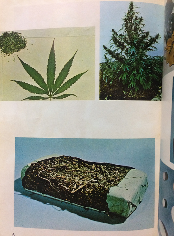 ความรู้เกี่ยวกับยาเสพติดให้โทษ สารที่ออกฤทธิ์ต่อจิตประสาท และการใช้ยาในทางที่ผิด