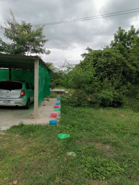 ขายบ้านพร้อมที่ดิน อ.เมืองราชบุรีพื้นที่กว้างขวางบรรยากาศดีพร้อมสำหรับทุกคนในครอบครัวห่างจากบิ๊กซีราชบุรี 3.5 กม.การเดินทางสะดวก