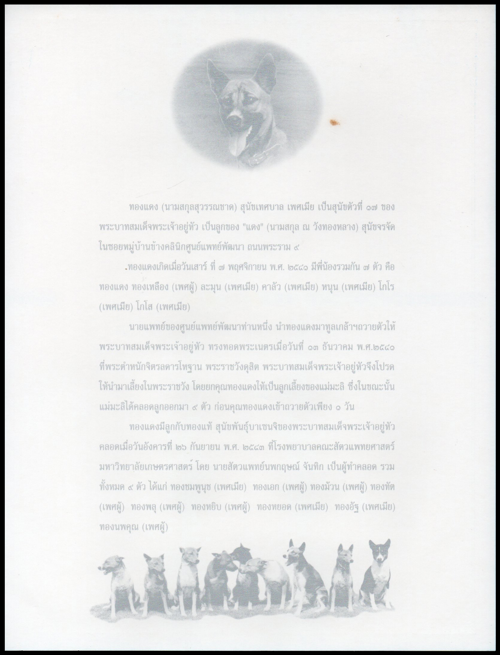 อัลบั้มชีทคุณทองแดง 2549 (บรรจุพร้อมแสตมป์)