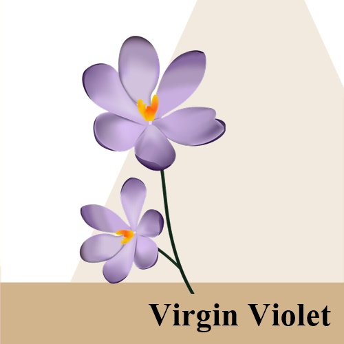 Virgin Violet หัวน้ำมันหอม ดอกไวโอเล็ตบริสุทธิ์ Soft sweet and floral พลังสร้างสรรของธรรมชาติ กลิ่นซับซ้อนเย้ายวน อ่อนหวานและน่ารื่นรมย์ ละลายในแอกอฮอล์และน้ำมัน / ทนความร้อนสูง / ไม่ เร่งเทรซ COA