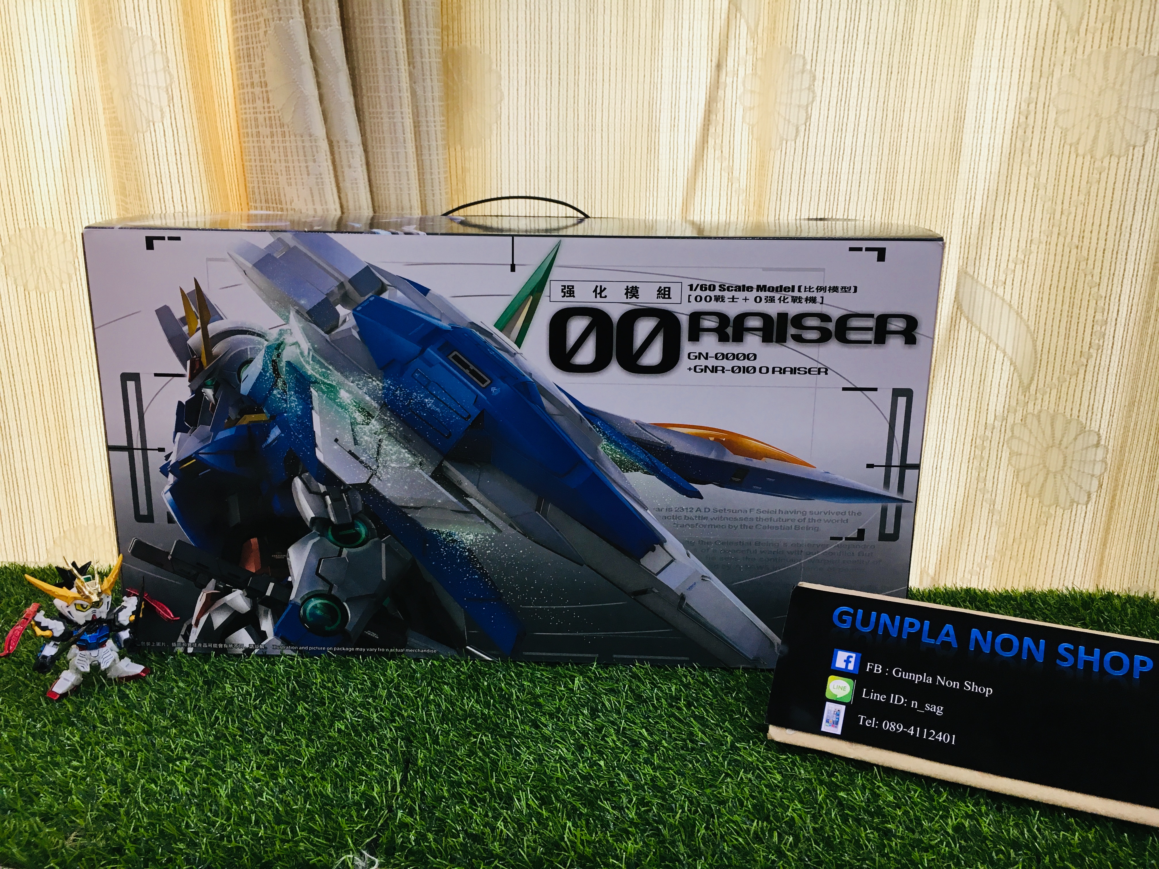 PG 1/60 OO Raiser (TT)