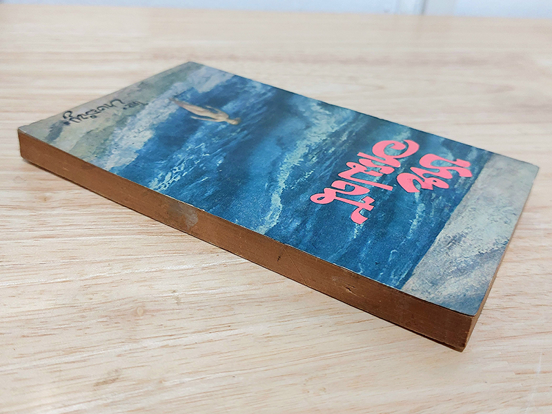 ชายอารมณ์