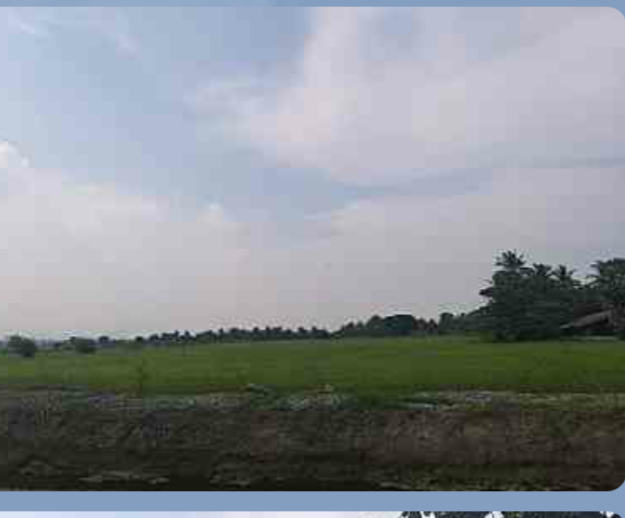 ขายที่ดินสวยราคาถูกติดโรงเรียนวัดท้ายตลาดและตรงข้ามวัดท้ายตลาดใกล้ สภ.เขาย้อย 1.87 กม.อ.เขาย้อย จ.เพชรบุรี