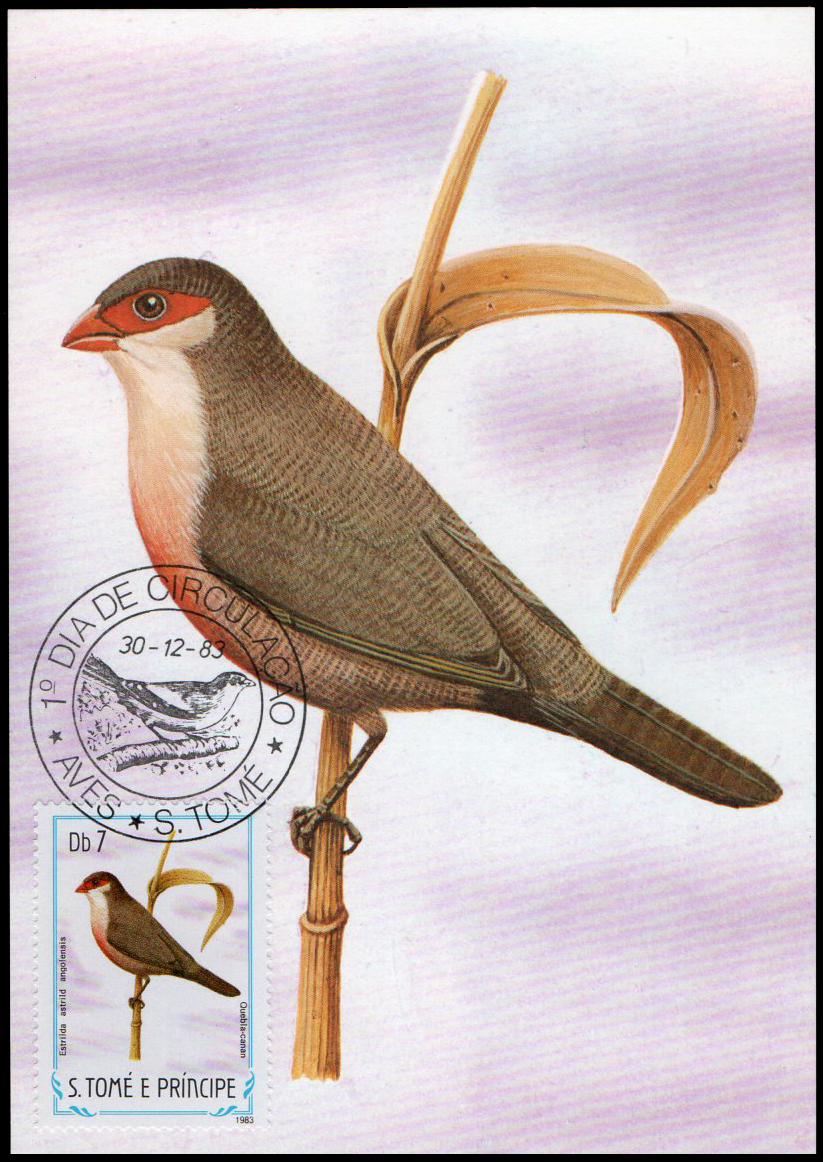 Post Cards S.Tome E Principe Bird 1983