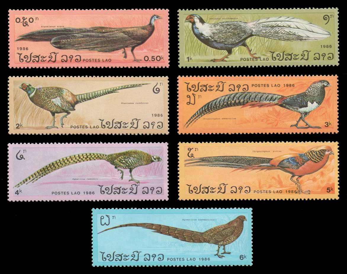 1986 Pheasants