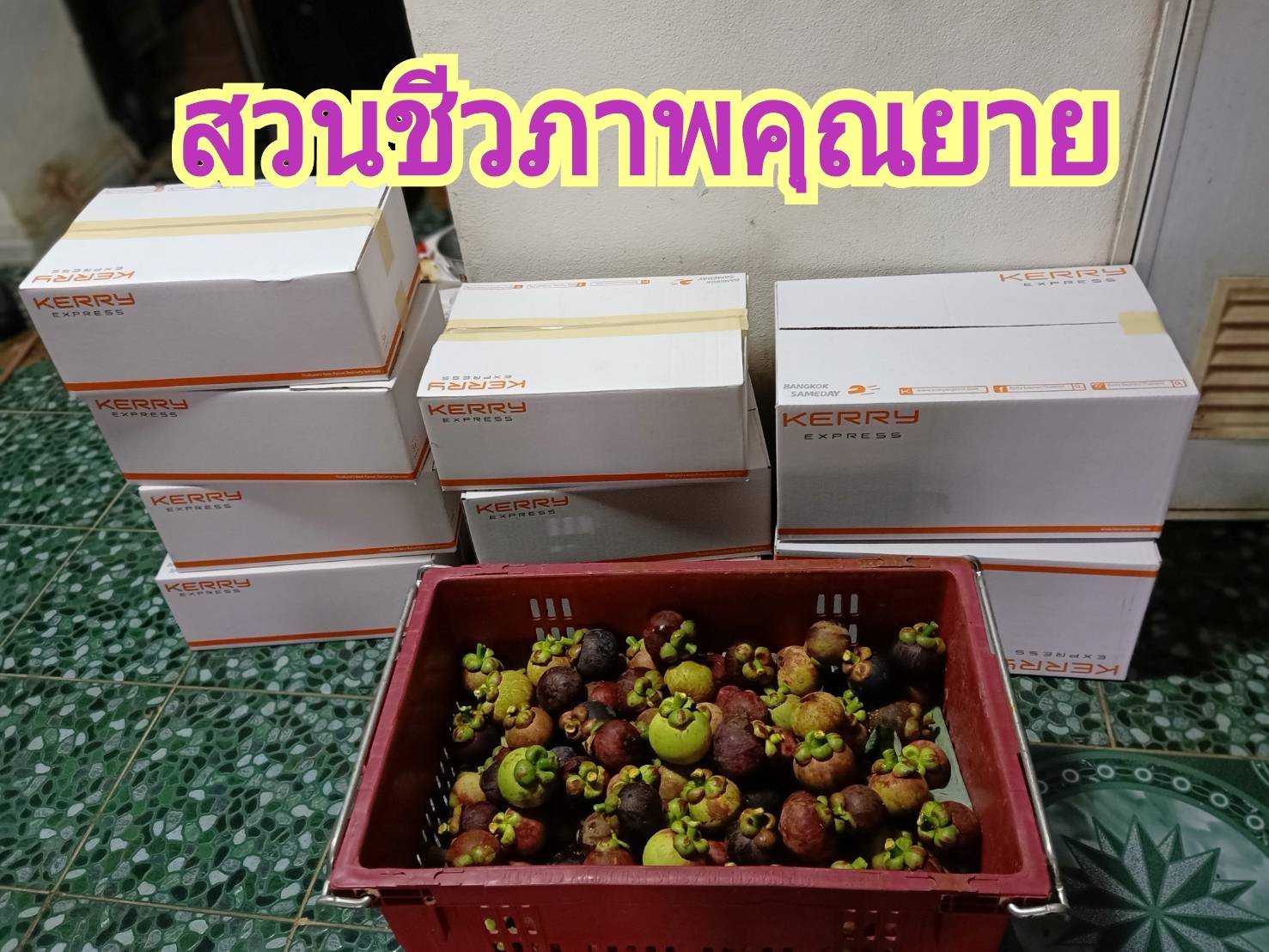 มังคุดออร์แกนิคของดีเมืองนครโปรพิเศษ 5 กก. แถมส่งฟรี #ปลอดสาร #ไม่มีสารเคมี สดจากสวนทุกลูก อร่อยทุกลูก