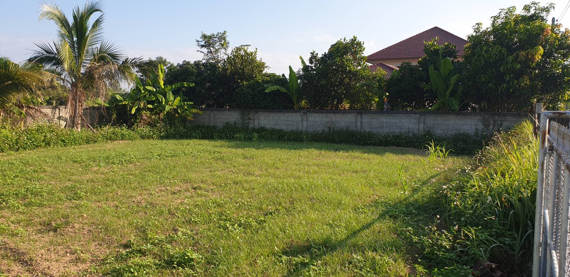 ขายที่ดินสวยราคาถูกห่างจากโรงเรียนอนุบาลเชียงคำ 388 เมตร ใกล้โลตัเชียงคำ 1.74 กม.