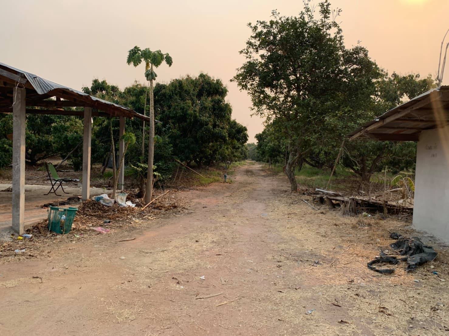 ขายที่ดินสวนราคาถูกเหมาะทำการเกษตรสร้างบ้านสวนพื้นที่กว้างพร้อมสำหรับทุกคนในครอบครัวใกล้วิทยาลัยการอาชีพป่าซาง 1.37 กม. จ.ลำพูน