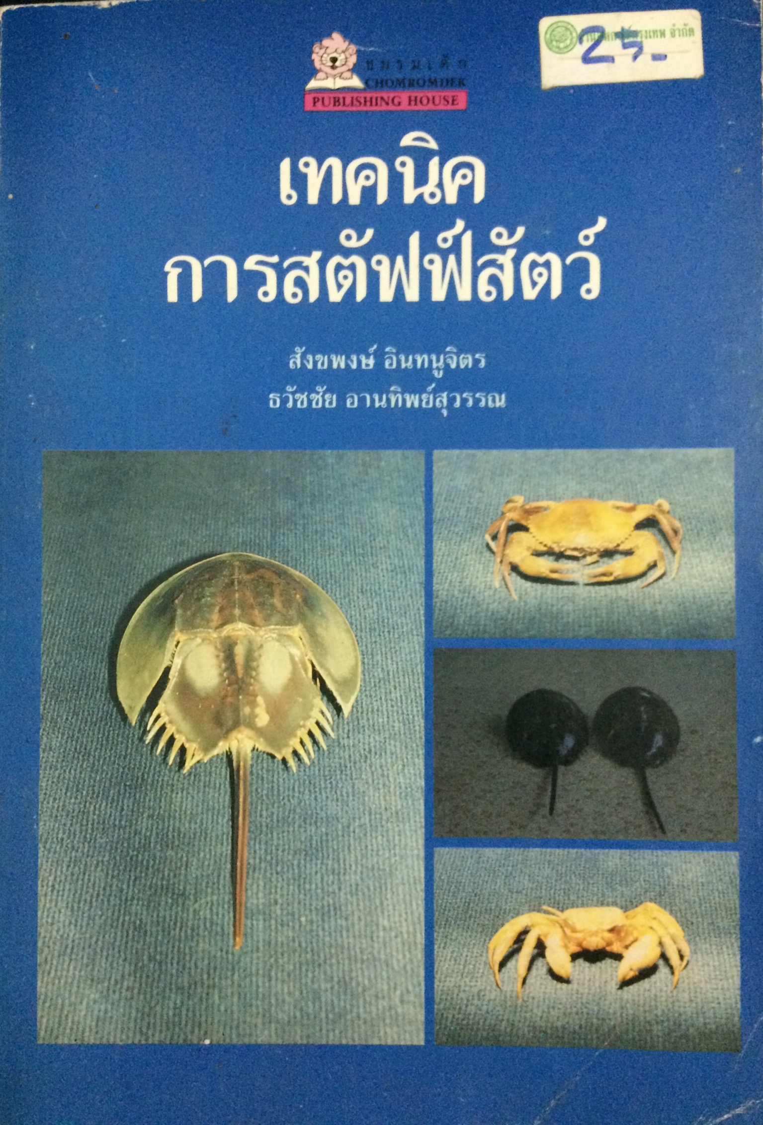 เทคนิคการสตัฟฟ์สัตว์