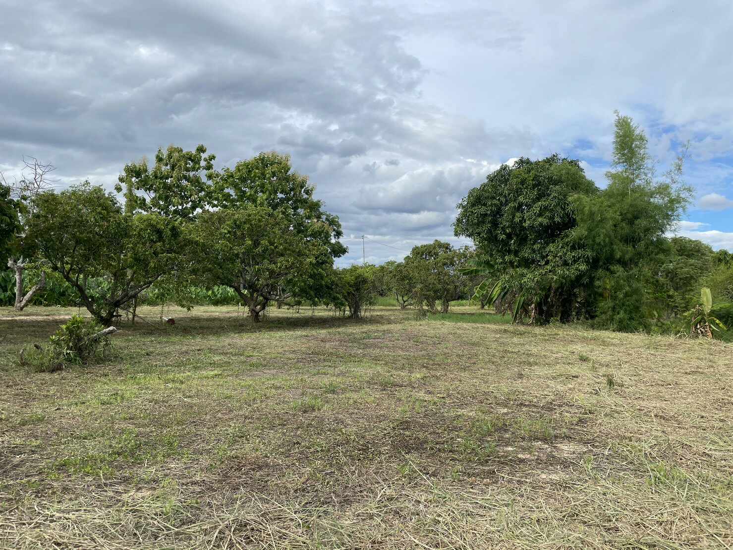 💥📣ขายที่ดินใกล้เซเว่นสาขาบ้านเหมืองง่าอำเภอเมืองลำพูน2แปลงติดถนนคอนกรีตเดินทางสะดวกเหมาะทำธุรกิจหรือการเกษตรบ้านสวนสนใจติดต่อเจ้าของทรัพย์091-8588378💥📣