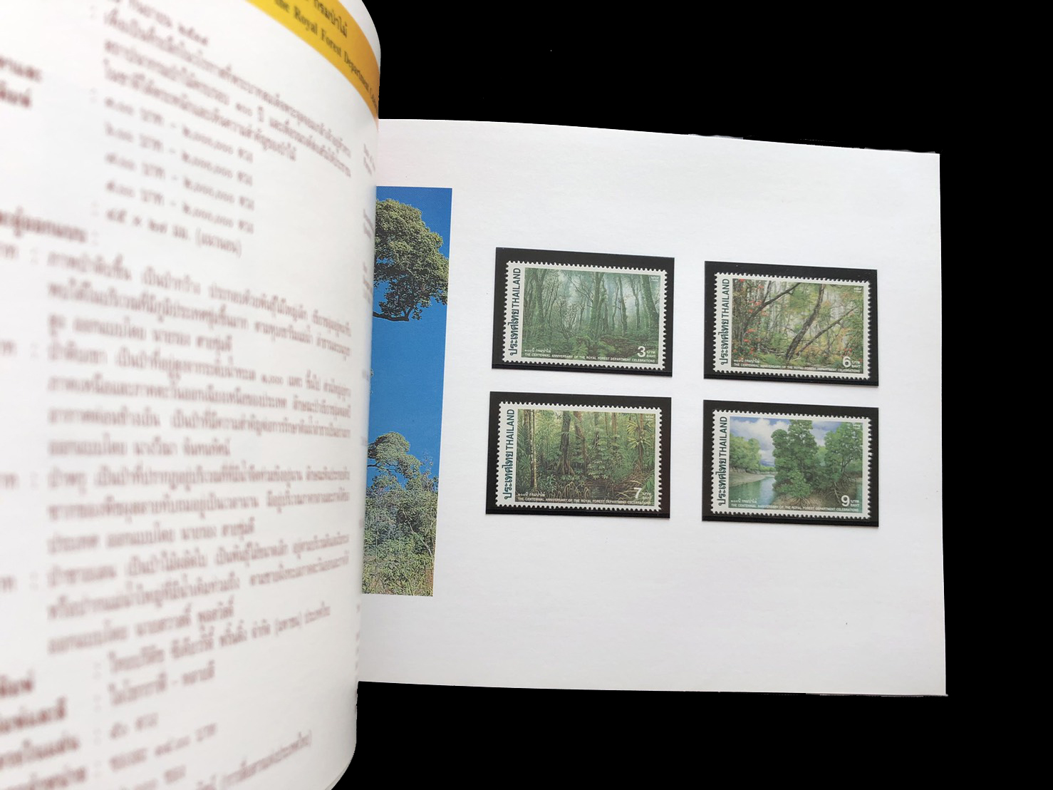 สมุดตราไปรษณียากรไทยประจำปี 2539 + แสตมป์ทองครองราชย์ 50 ปี