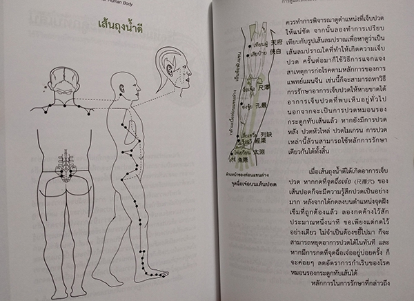 เข็มทิศสุขภาพ (The User's Manual for Human Body)