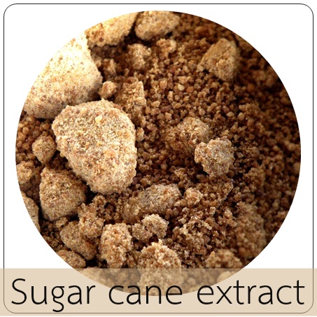 BROWN SUGAR น้ำตาลอ้อย