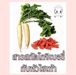 RADISH&GOJI BERRYสารสกัดหัวไชเท้าผสมโกจิเบอร์รี่