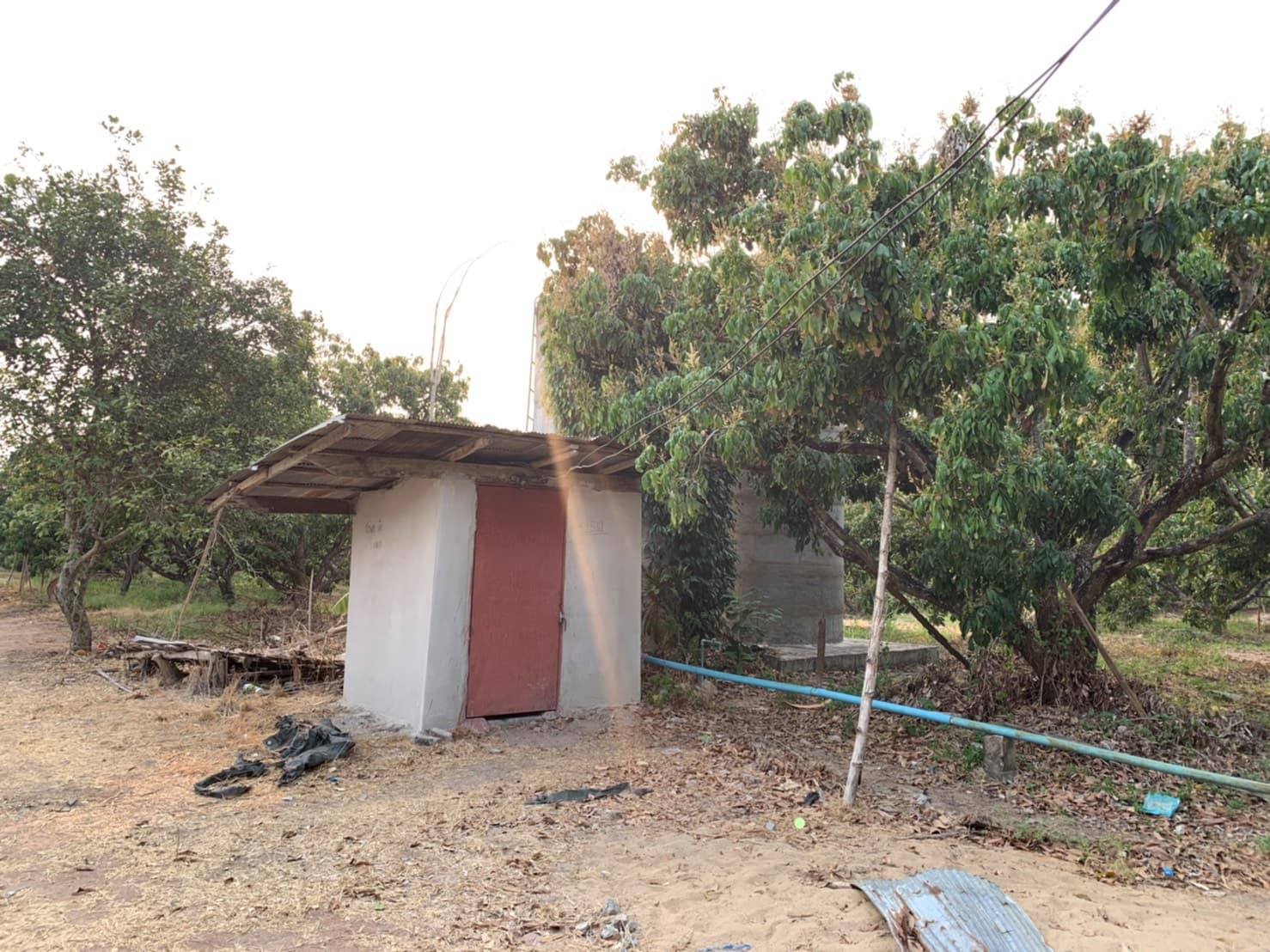 ขายที่ดินสวนราคาถูกเหมาะทำการเกษตรสร้างบ้านสวนพื้นที่กว้างพร้อมสำหรับทุกคนในครอบครัวใกล้วิทยาลัยการอาชีพป่าซาง 1.37 กม. จ.ลำพูน